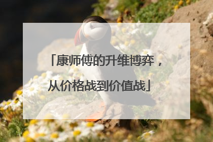 康师傅的升维博弈，从价格战到价值战