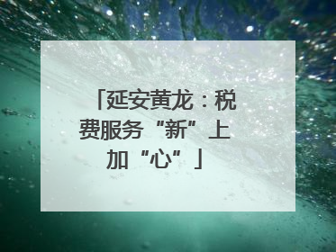延安黄龙：税费服务“新”上加“心”