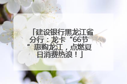 建设银行黑龙江省分行：龙卡“66节”惠购龙江，点燃夏日消费热浪！