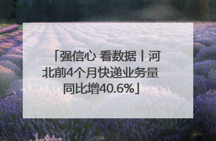 强信心 看数据丨河北前4个月快递业务量同比增40.6%