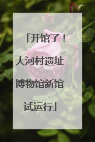 开馆了！大河村遗址博物馆新馆试运行