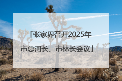 张家界召开2025年市总河长、市林长会议