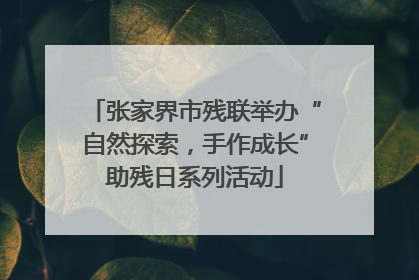 张家界市残联举办“自然探索，手作成长”助残日系列活动
