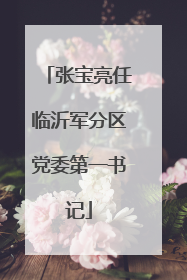 张宝亮任临沂军分区党委第一书记