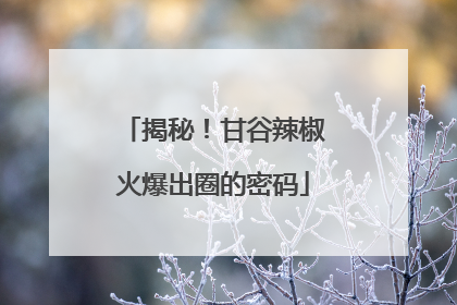 揭秘！甘谷辣椒火爆出圈的密码