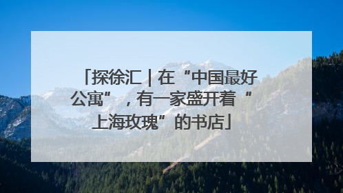 探徐汇｜在“中国最好公寓”，有一家盛开着“上海玫瑰”的书店