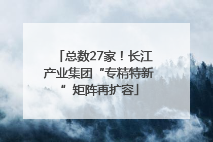 总数27家！长江产业集团“专精特新”矩阵再扩容