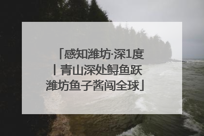 感知潍坊·深1度丨青山深处鲟鱼跃 潍坊鱼子酱闯全球