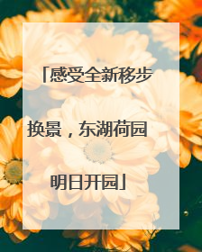 感受全新移步换景，东湖荷园明日开园