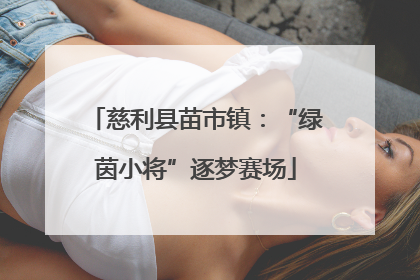 慈利县苗市镇：“绿茵小将”逐梦赛场