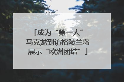成为“第一人” 马克龙到访格陵兰岛展示“欧洲团结”