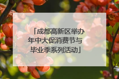 成都高新区举办年中大促消费节与毕业季系列活动