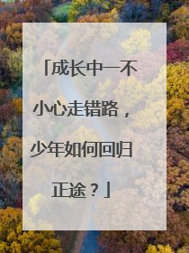 成长中一不小心走错路，少年如何回归正途？