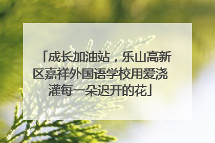 成长加油站，乐山高新区嘉祥外国语学校用爱浇灌每一朵迟开的花