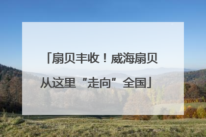 扇贝丰收！威海扇贝从这里“走向”全国