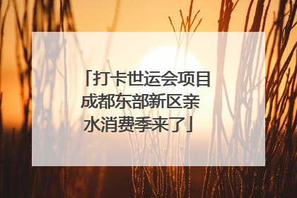 打卡世运会项目 成都东部新区亲水消费季来了