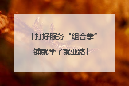 打好服务“组合拳” 铺就学子就业路
