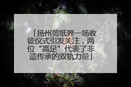 扬州剪纸界一场收徒仪式引发关注，两位“高足”代表了非遗传承的双轨力量