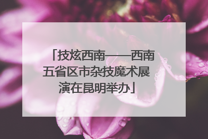 技炫西南——西南五省区市杂技魔术展演在昆明举办