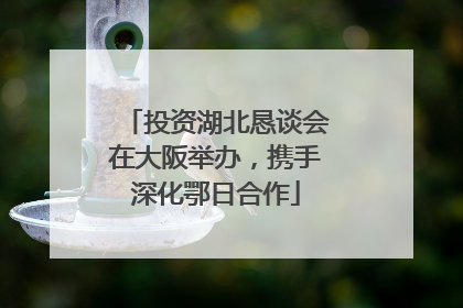 投资湖北恳谈会在大阪举办，携手深化鄂日合作