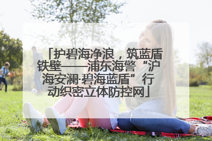 护碧海净浪，筑蓝盾铁壁——浦东海警“沪海安澜·碧海蓝盾”行动织密立体防控网
