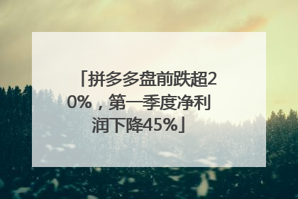 拼多多盘前跌超20%，第一季度净利润下降45%