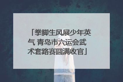 拳脚生风展少年英气 青岛市六运会武术套路赛圆满收官