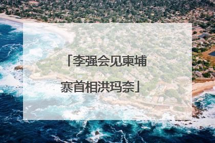 李强会见柬埔寨首相洪玛奈