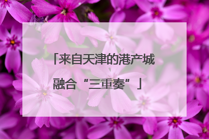 来自天津的港产城融合“三重奏”