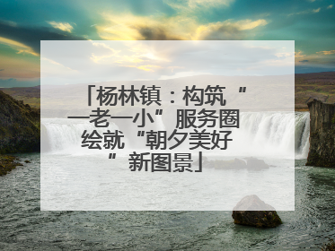 杨林镇：构筑“一老一小”服务圈 绘就“朝夕美好”新图景
