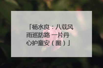 杨水良：八载风雨巡防路 一片丹心护童安（图）