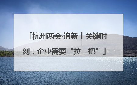 杭州两会·追新丨关键时刻，企业需要“拉一把”