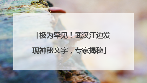 极为罕见！武汉江边发现神秘文字，专家揭秘