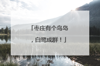 枣庄有个鸟岛，白鹭成群！