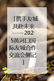 携手友城 共赴未来——2025黄河口国际友城合作交流会侧记
