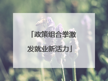 政策组合拳激发就业新活力