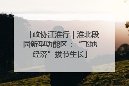 政协江淮行｜淮北段园新型功能区：“飞地经济”拔节生长