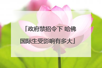 政府禁招令下 哈佛国际生受影响有多大