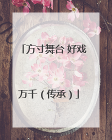 方寸舞台 好戏万千（传承）