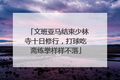 文班亚马结束少林寺十日修行，打球吃斋练拳样样不落