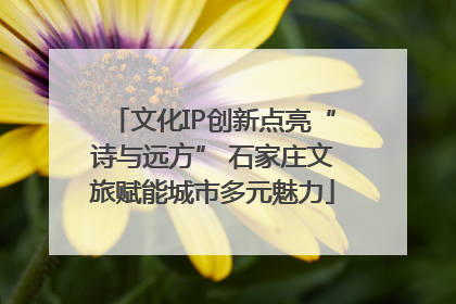 文化IP创新点亮“诗与远方” 石家庄文旅赋能城市多元魅力
