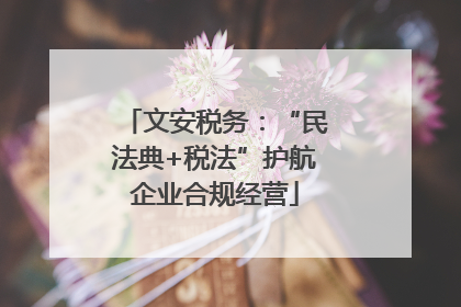 文安税务：“民法典+税法”护航企业合规经营