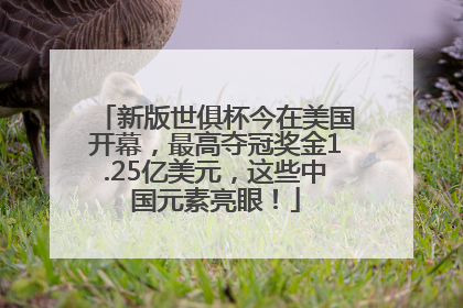 新版世俱杯今在美国开幕，最高夺冠奖金1.25亿美元，这些中国元素亮眼！
