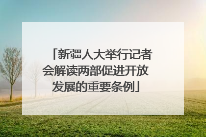 新疆人大举行记者会解读两部促进开放发展的重要条例