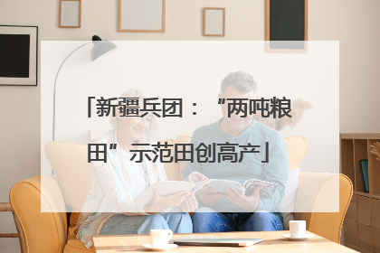 新疆兵团：“两吨粮田”示范田创高产