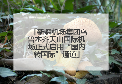 新疆机场集团乌鲁木齐天山国际机场正式启用“国内转国际”通道