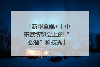 新华全媒+丨中东欧博览会上的“数智”科技秀