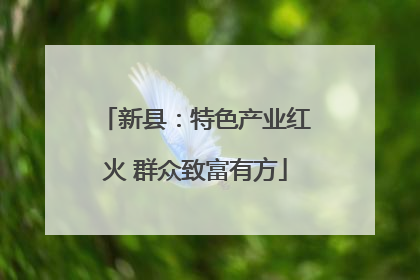 新县：特色产业红火 群众致富有方