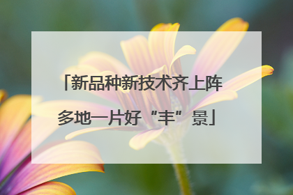 新品种新技术齐上阵 多地一片好“丰”景