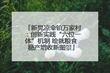 新晃凉伞镇万家村：创新实践“六位一体”机制 绘就粮食稳产增收新图景